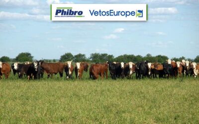 Phibro Animal Health and Vetos Europe partnered to introduce RelyOn™