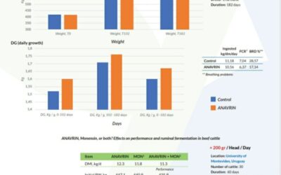 ANAVRIN® Performance on meat production