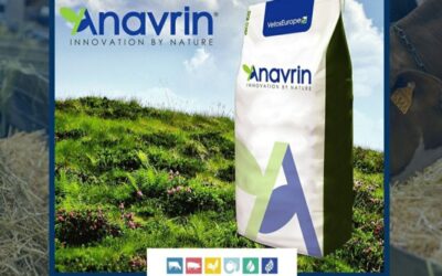 Anavrin® at the Cremona International Zootechnical Exhibitions