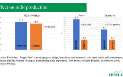 Effect of Anavrin® on milk production