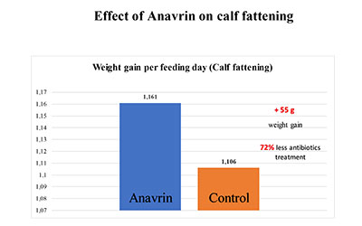 New very good trials results for Anavrin on 200 calf fattening