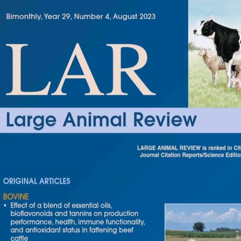 Journal Large Animal Review