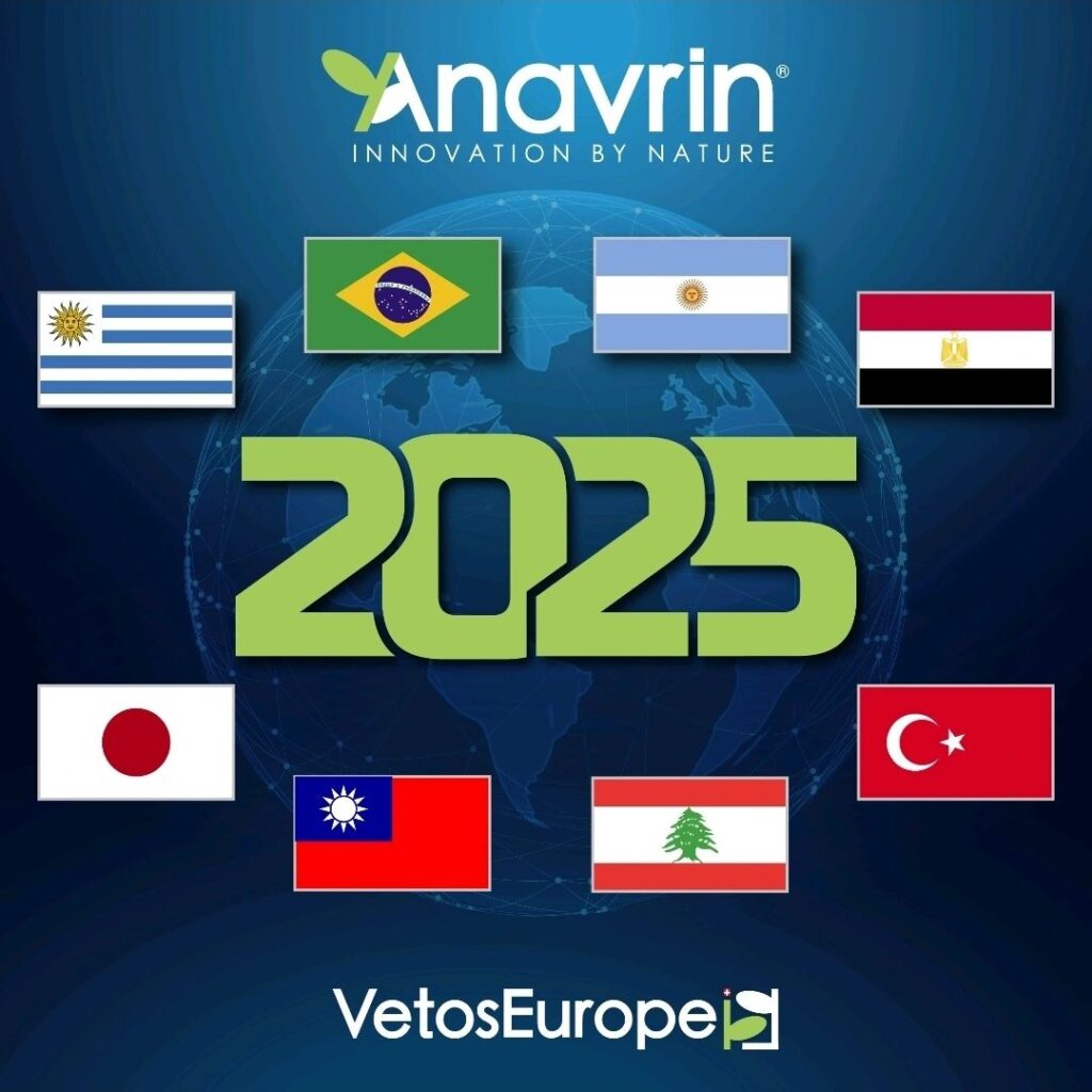 Global Expansion